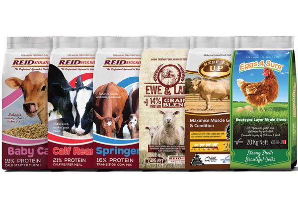 animal feed products