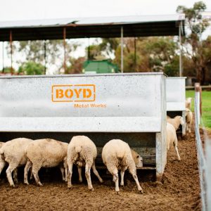 Lamb Creep Feed