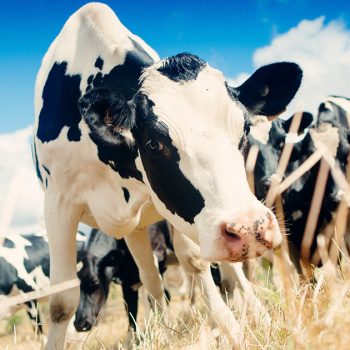 Beat The Heat This Summer